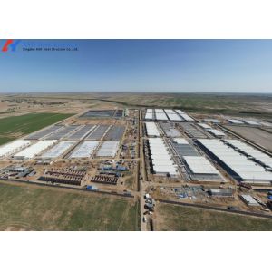 Custom Piggery Shed Light Steel Structure Cow Shed With Automatic Euipment