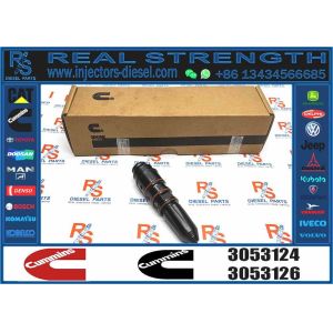 Excavator Parts 3053124 Common Rail Fuel Injector 3016676 3016675 Compatible