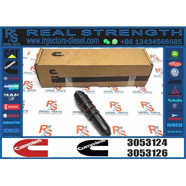 Excavator Parts 3053124 Common Rail Fuel Injector 3016676 3016675 Compatible