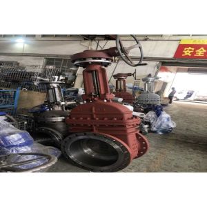 Premium Industrial Valve Solutions Globe Valve for Industries