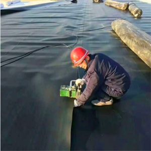 Geomembranes Pond Liner 0.5mm-1.5mm HDPE Waterproof Plastic Liner for Fish