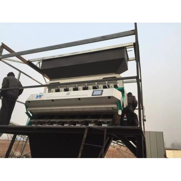 Quality WENYAO CCD Rice Millet Sesame Color Sorter 192 Channels wholesale