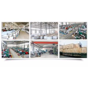 Efficient Commercial Noodle Machine , Organic Chinese Noodles Plant Machine