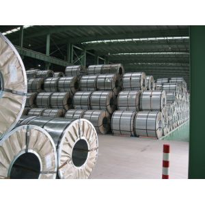 Chromated and Oiled Glavanized Stainless Steel Strip Coil 1200mm Width