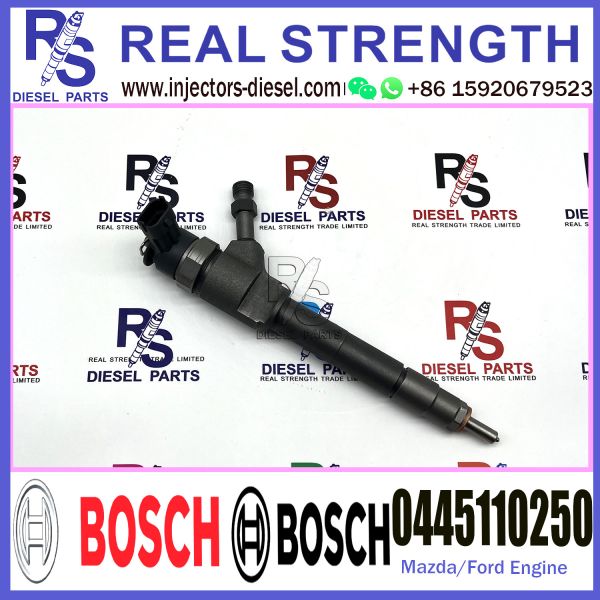 BOSCH injection 0445110250 0445110249 Diesel Fuel Common Rail Injector