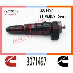 3071497 CUMMINS Neutral Diesel NT855 Injection Pump Fuel Injector 3071497