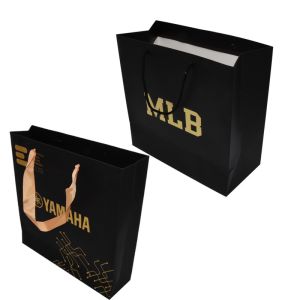 Recyclable CDR Custom Printed Paper Shopping Bag CMYK PMS With Rope Handles