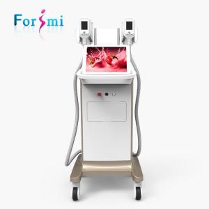 China Manufacturer Hot Sale Cryolipolysis Freezing Fat Removal Equipment with 2 Handles 2 air pump with manufacture price on sale