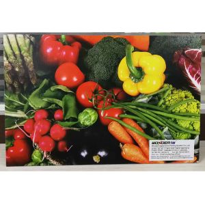 Corrugated Box Single Pass Printer With Automatic Feeding System