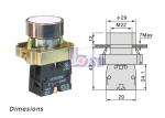 Metal Flat Push Button Switch Spring Return For Control Panel