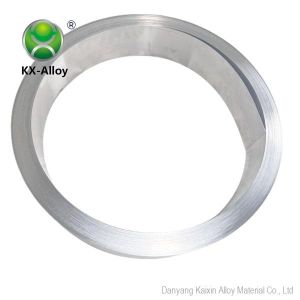 Corrosion Resistance ASTM Incoloy Alloy Inconel 800 Strip Customized