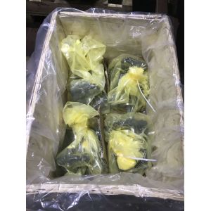 Rexroth R910910590 A10VSO28DFR1/31R- PPA12N00 Hydraulic Piston Pumps/Variable