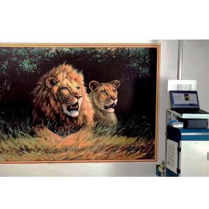 China CMYK Shervin SSV-S2 Automatic Wall Inkjet Printer on sale