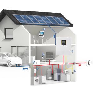 2.5KW 24V Hybrid Solar Inverter MPPT Pure Sine Wave