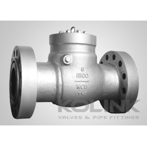 Pressure Seal Swing Check Valve Class 600-2500 High Pressure