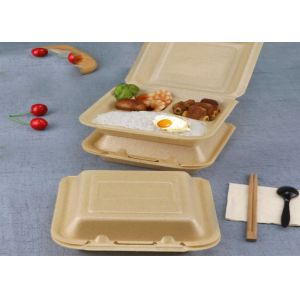 Biodegradable Corn Starch Disposable Foam Food Containers Lunch box Cup