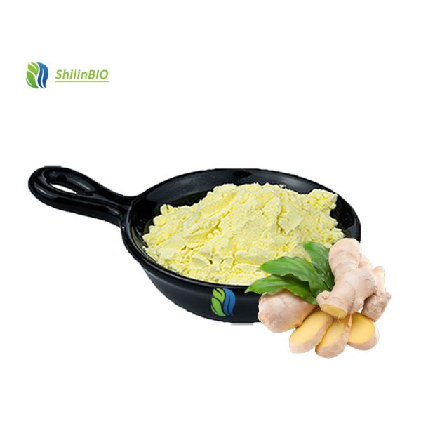 Quality Ginger Extract Powder 1%-20% Gingerol wholesale