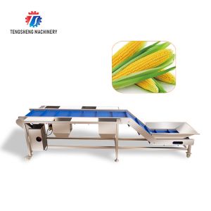 Automatic Conveying Specifications Can Be Set To Lift Conveying Manual Table