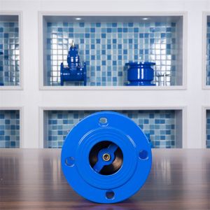 Cheap Industrial GGG40 Check Valve Flange Type Silencing DN65 Small Check Valves For Water for sale
