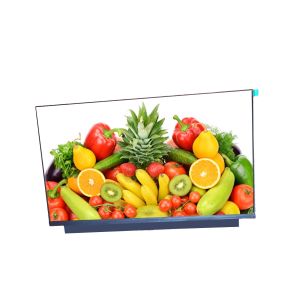 12.5 Inch Full HD TFT LCD Displays For Portable LCD Industrial And Game PCs