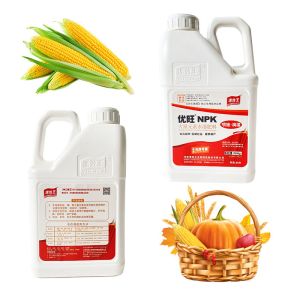 Slow Release NPK Water Soluble Fertilizer Plant Growth Regulation