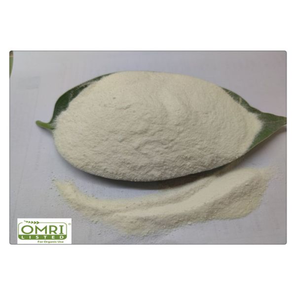 14% Nitrogen PH6 Pure Protein Dry Fish Fertilizer Powder