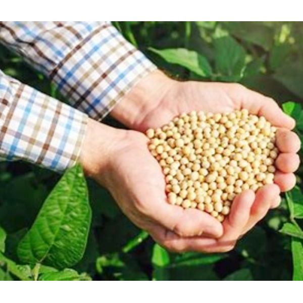 Air System Precision Seeder Agriculture Equipment 4 Rows Sowing Depth 3-8 Cm