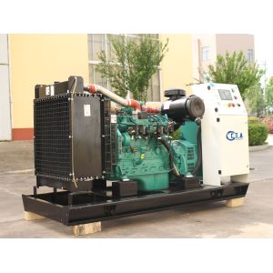 150kw LPG Generator Set Electrical Start and Water Cooled Method for Industrial