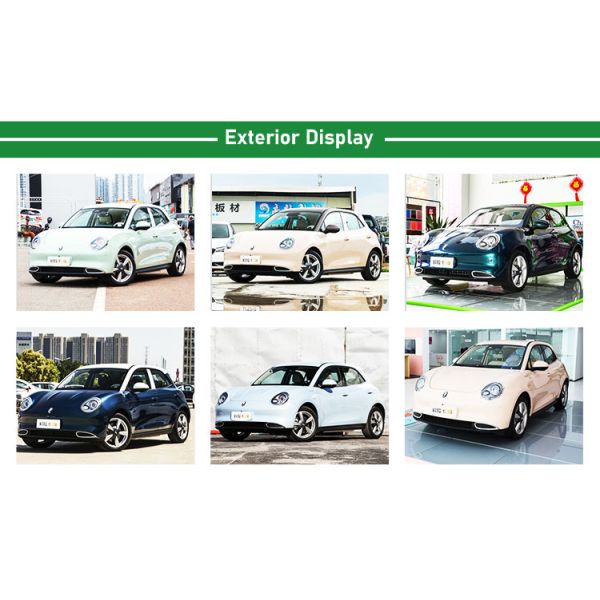 Electric Funky Good Ev Ora Cat Compact Car Unky Cat Luxury Ternary Lithium Battery Ev 2024 Mini Vehicle High Speed Energy Car