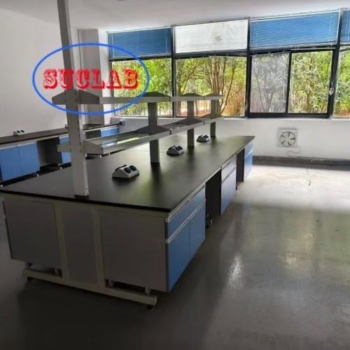 Quality Customizable Chemical Laboratory Furnitures Factory with Excellent Customer Service and C-Frame Design wholesale