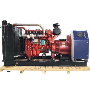 300KW Natural Gas Biogas Generator Set with 50HZ/60HZ Frequency and 180A Rated