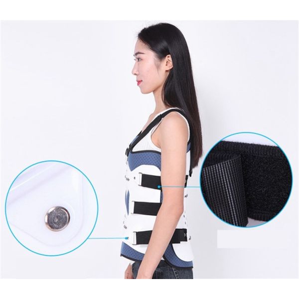 Adjustable Lumbar Support Brace Plastic Thoracolumbar Fixation Support