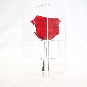 Customized Color Everlasting Rose , New Year Love Real Preserved Roses For