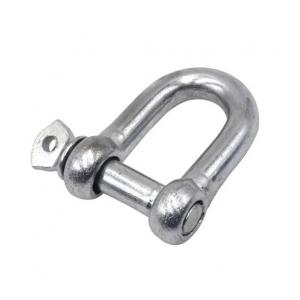China European Type Stainless Steel 304/316 Screw Pin D Shackle for Heavy Duty Applications on sale