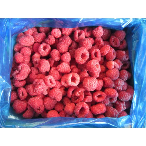 Quality High Quality Bulk Frozen Raspberries Frozen Raspberry Bulk Packaging Fruit wholesale