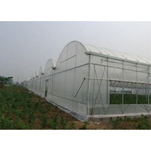 Agricultural Insect Fly Screen Mesh HDPE 25 30 50 Mesh Plant Farming