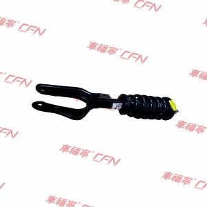 Front Left Shock Absorber Strut Assembly Fit Tesla Model 3 Model Y 17-23 1044363