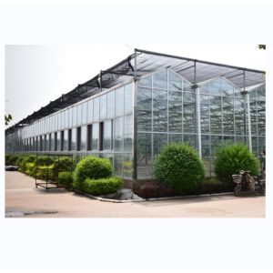 China Glass Cover NFT Hydroponic Growing Systems The Ultimate Solution for Vertical Farming on sale