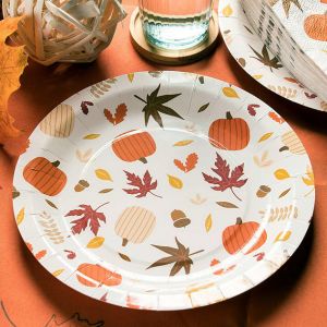 100 Compostable Plates And Cutlery