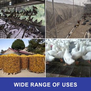 Roadbed Reinforcement PP Plastic Biaxial Geogrid for Breeding Industry and