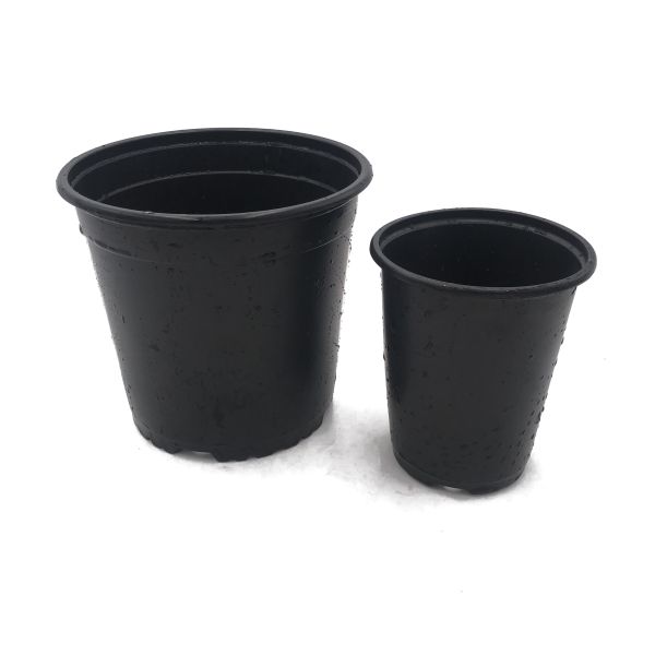 Light And Soft Black Double Color Plastic Flower Pots Chive Shoot Seedling