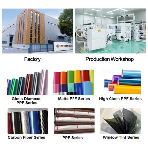 Removable Glossy Car Body Protective Fish Bone Color Change PPF Film Color