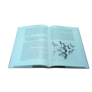 Duck Walk | Hardcover Novel Book Printing Customized Quantity In Matte