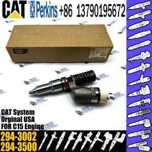 Engine Common Rail Fuel Injector 249-0712 249-0713 250-1309 294-3002