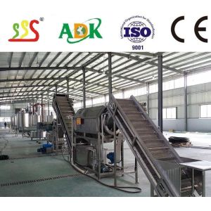 China 5t/h Fruit Vegetable Processing Line With  Processing Material After-Sales Service Provided on sale