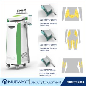 Cheap Factory Price Double Handpieces two handle work together Lipo Cryo Fat Freezing Machine for weight loss for sale