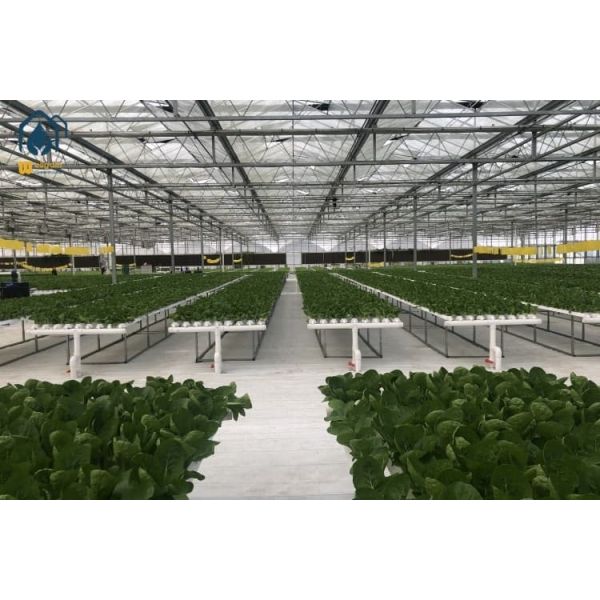 Greenhouse Hydroponic Vertical NFT Hydroponic System Soilless Vegetable Planting