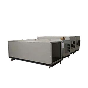 Modular Package Hygienic Air Conditioning System Ceiling Mounted AHU