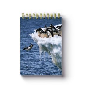 Animal Spiral Bound Notebook School Stationery Set 3D Printing