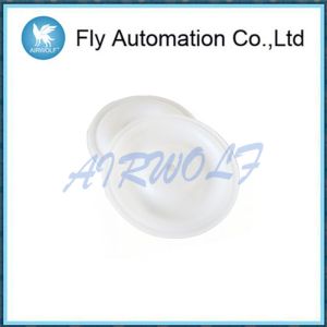 108839 Ptfe Air Operated Diaphragm Repair Kit 3 / 4" D54211 D5d211 D4d966